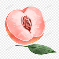 WWW,kkrrr·COM网站APPAPP应用