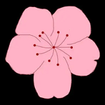 桃花TV直播APP应用